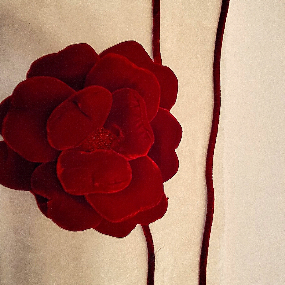 RED VELVET PURSE